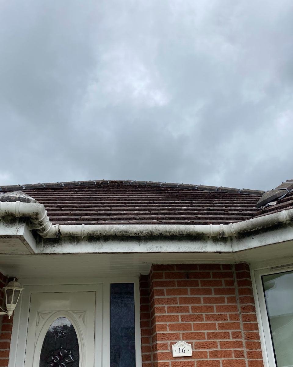 Gutter packed with moss before clearing